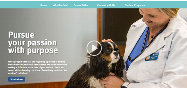Banfield company career site landing page