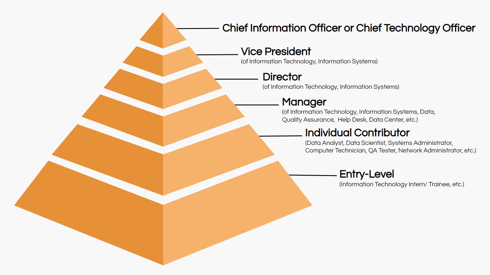 It Job Hierarchy | Hot Sex Picture