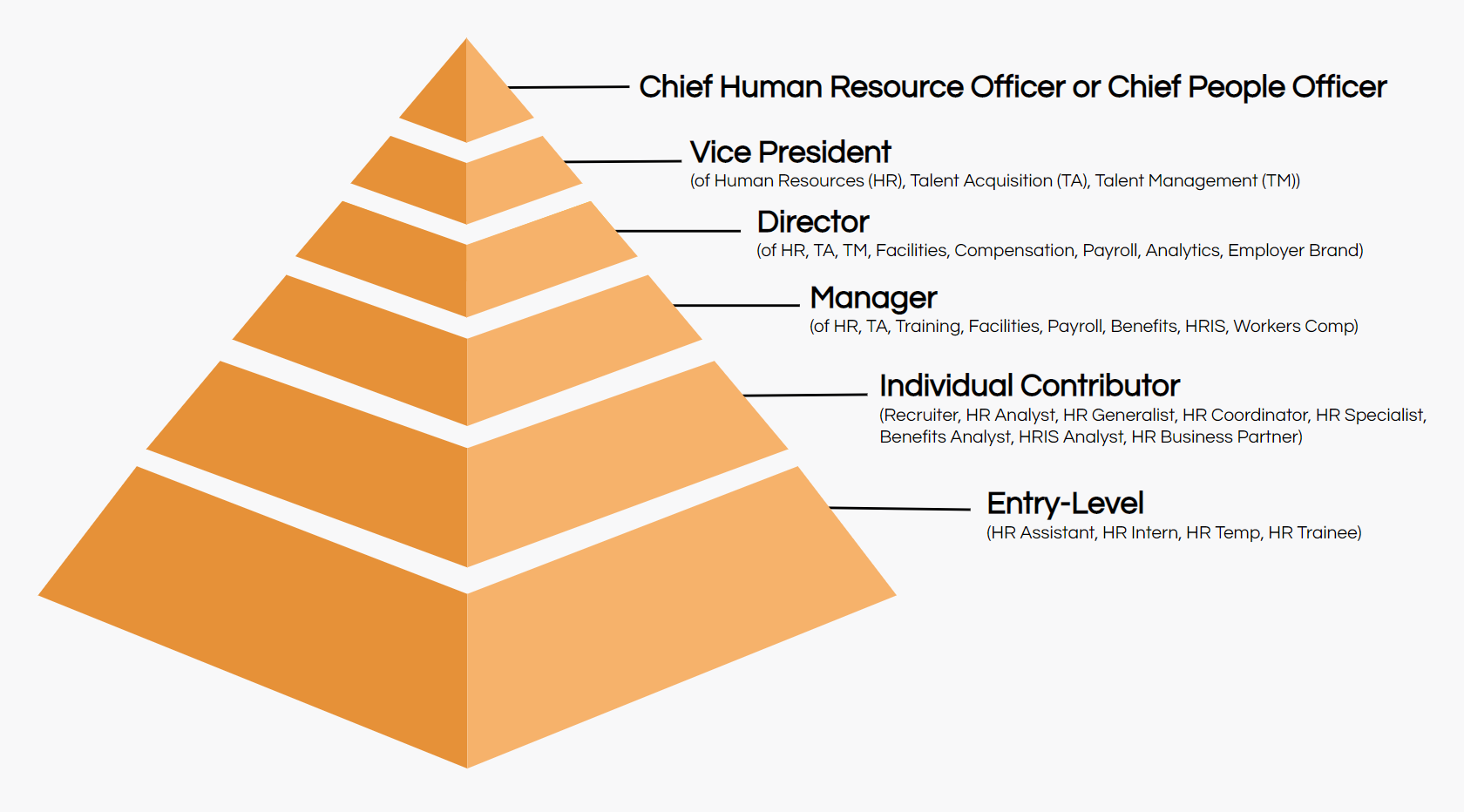 job titles in research