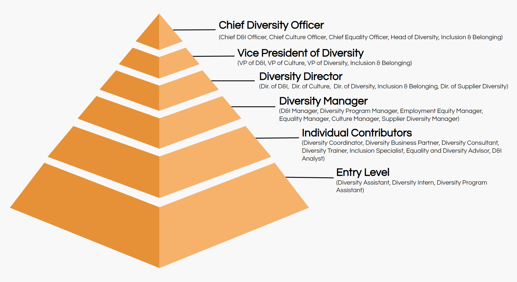 Job Titles The Definitive Guide Ongig   Diversity Titles Hierarchy Ongig 