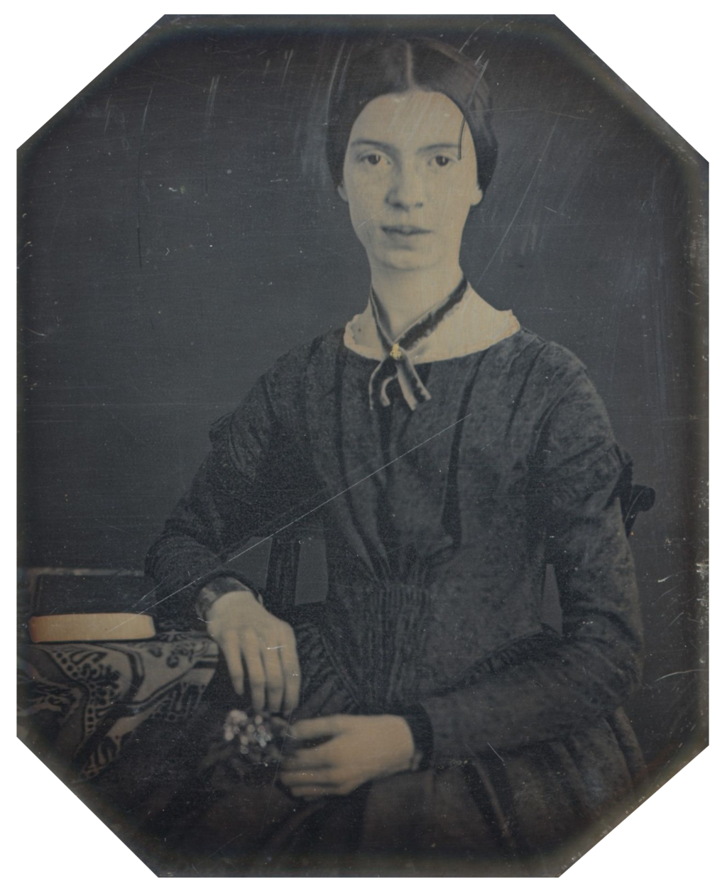 Emily Dickinson Autistic