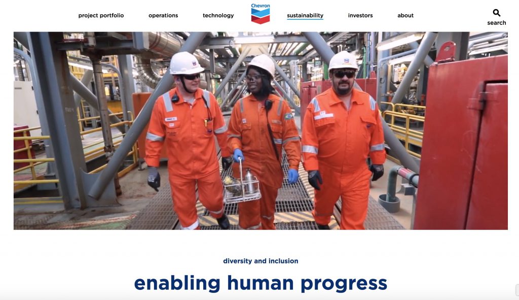 Chevron Diversity Inclusion council mission statement